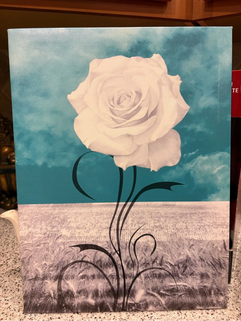 Teal and white rose canvas wall art features a detailed white blossom